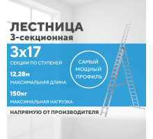 Лестница алюминиевая 3х17 (12,28м)